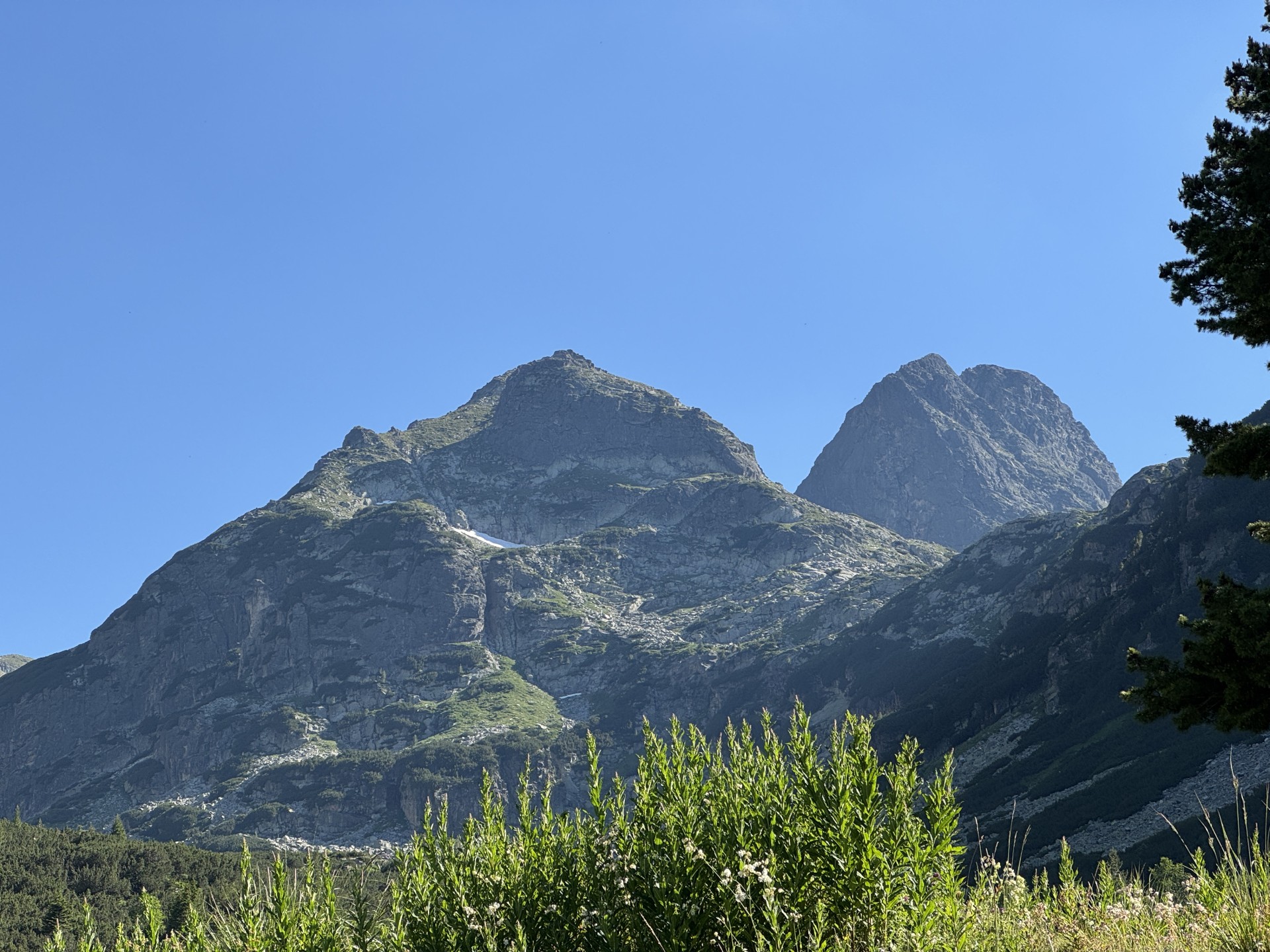 IMG 4635